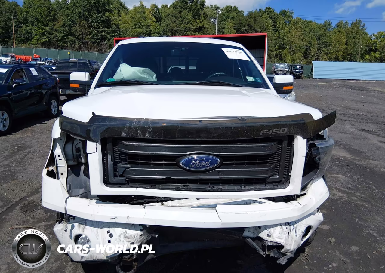 2013 Ford F-150 Fx4 VIN:1FTFW1EF2DFA84966 - 12