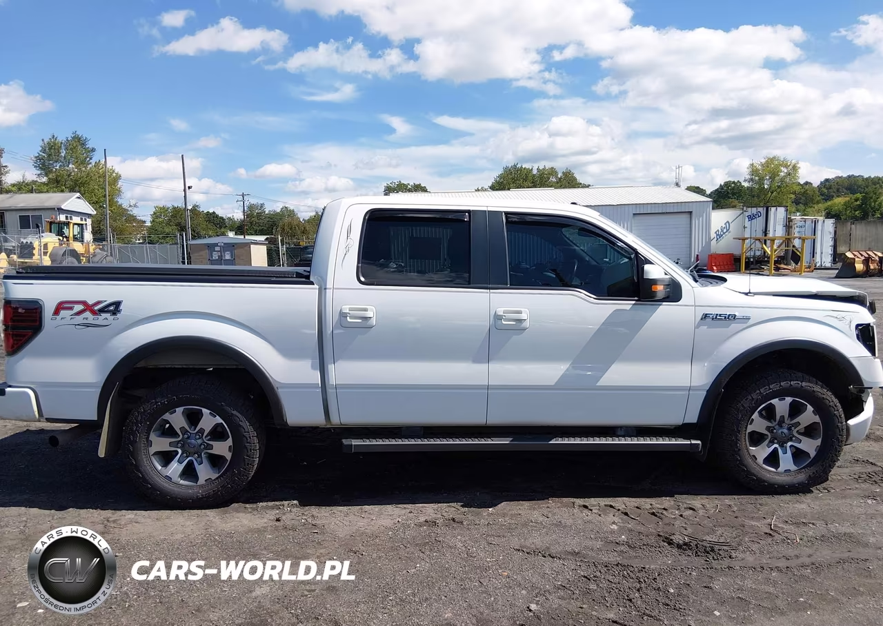 2013 Ford F-150 Fx4 VIN:1FTFW1EF2DFA84966 - 13