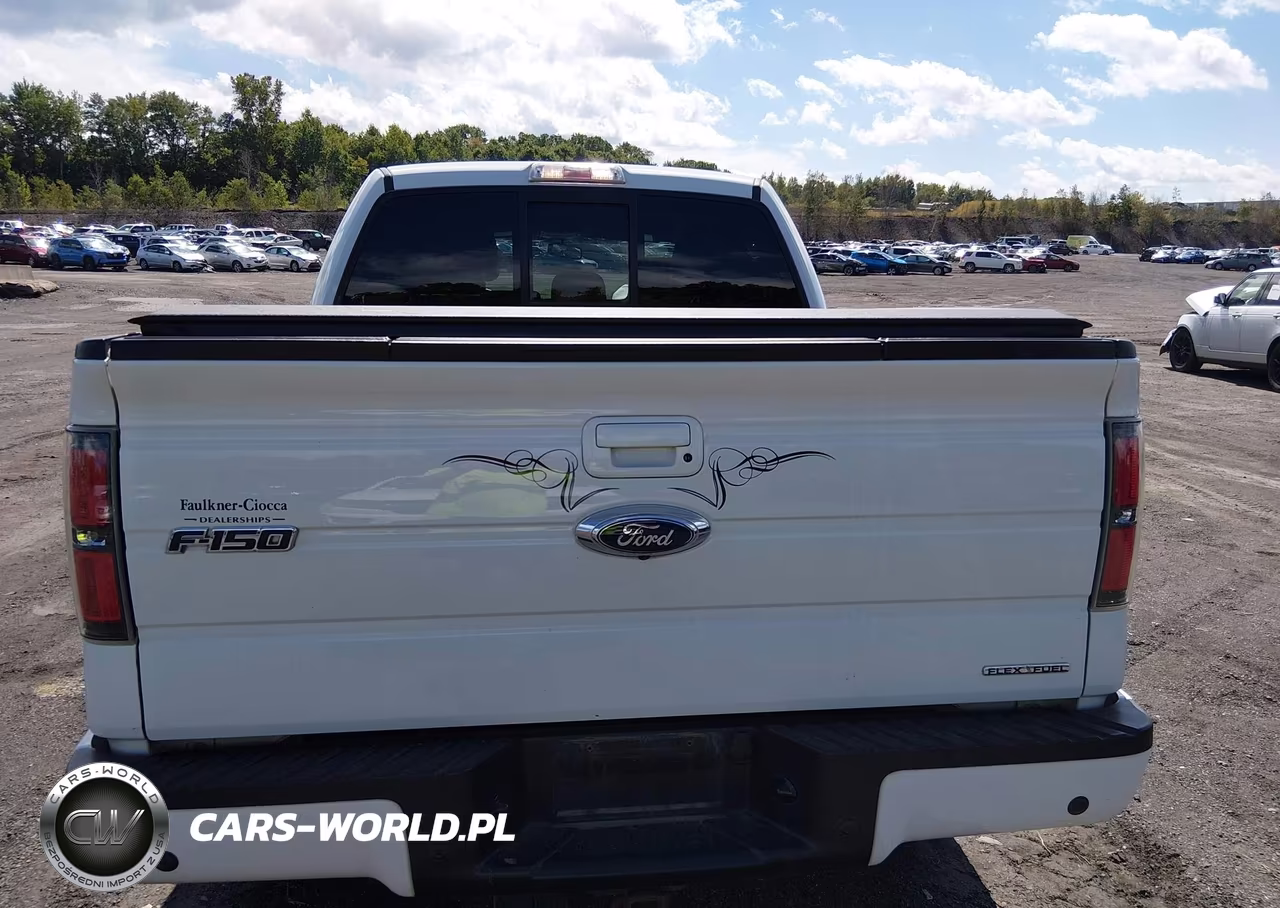 2013 Ford F-150 Fx4 VIN:1FTFW1EF2DFA84966 - 16