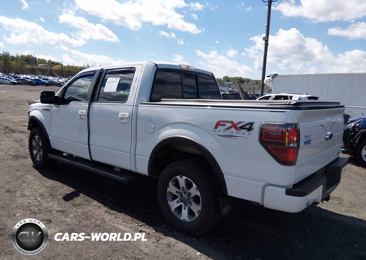 2013 Ford F-150 Fx4 VIN:1FTFW1EF2DFA84966 - 3