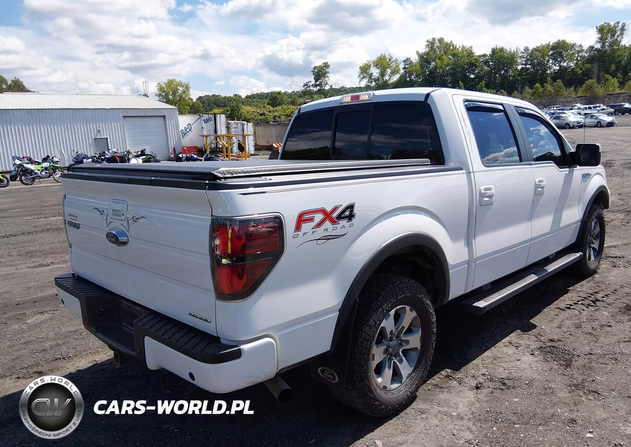 2013 Ford F-150 Fx4 VIN:1FTFW1EF2DFA84966 - 4