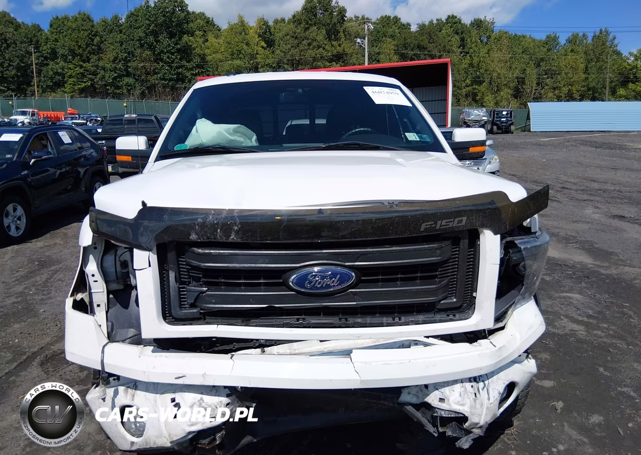 2013 Ford F-150 Fx4 VIN:1FTFW1EF2DFA84966 - 6