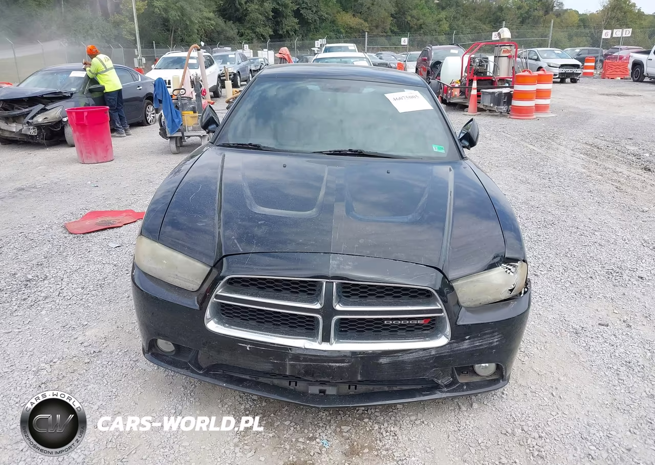 2013 Dodge Charger Sxt VIN:2C3CDXHG8DH647666 - 13