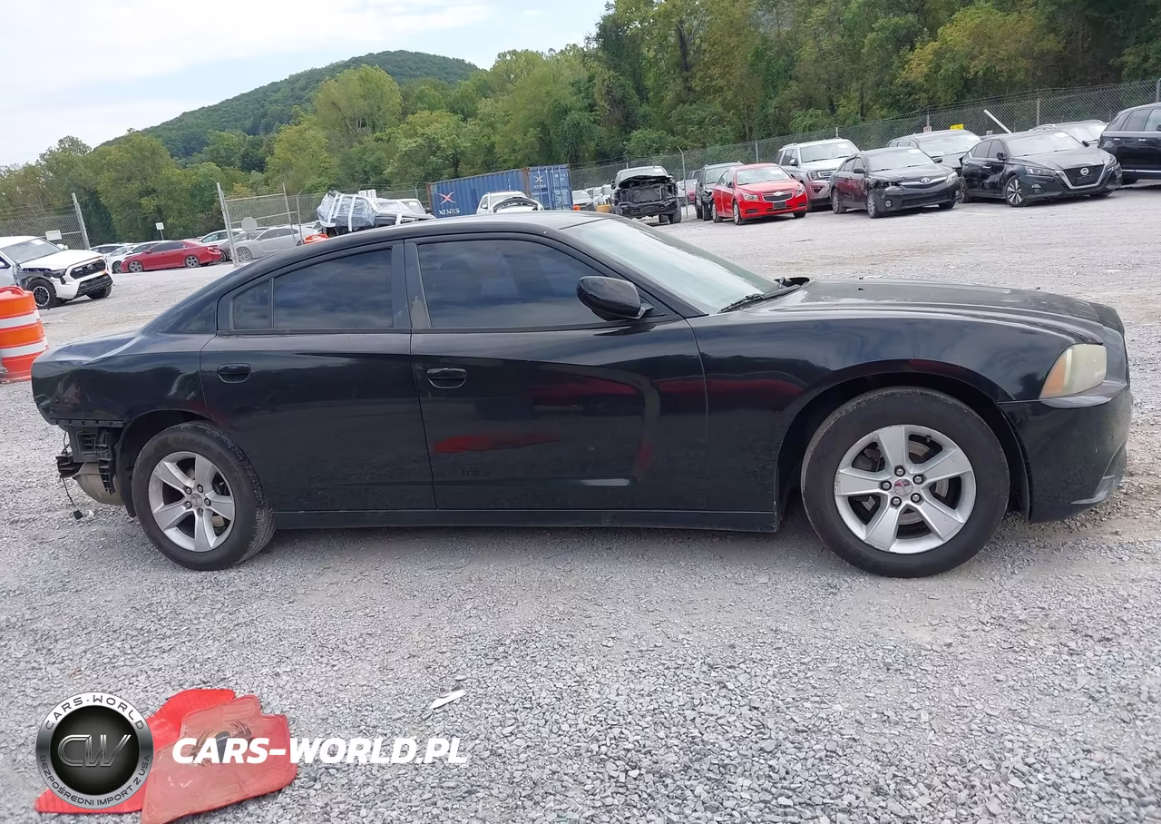 2013 Dodge Charger Sxt VIN:2C3CDXHG8DH647666 - 14