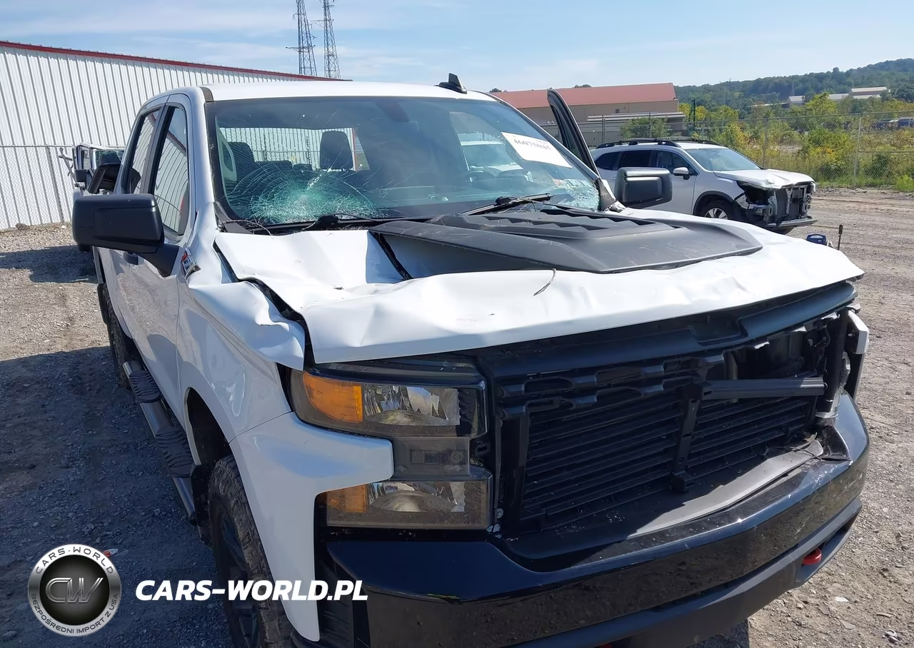 2022 Chevrolet Silverado 1500 Ltd 4Wd Short Bed Custom Trail Boss VIN:3GCPYCEK5NG125579 - 17