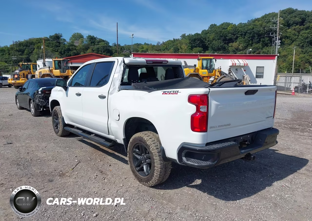2022 Chevrolet Silverado 1500 Ltd 4Wd Short Bed Custom Trail Boss VIN:3GCPYCEK5NG125579 - 3