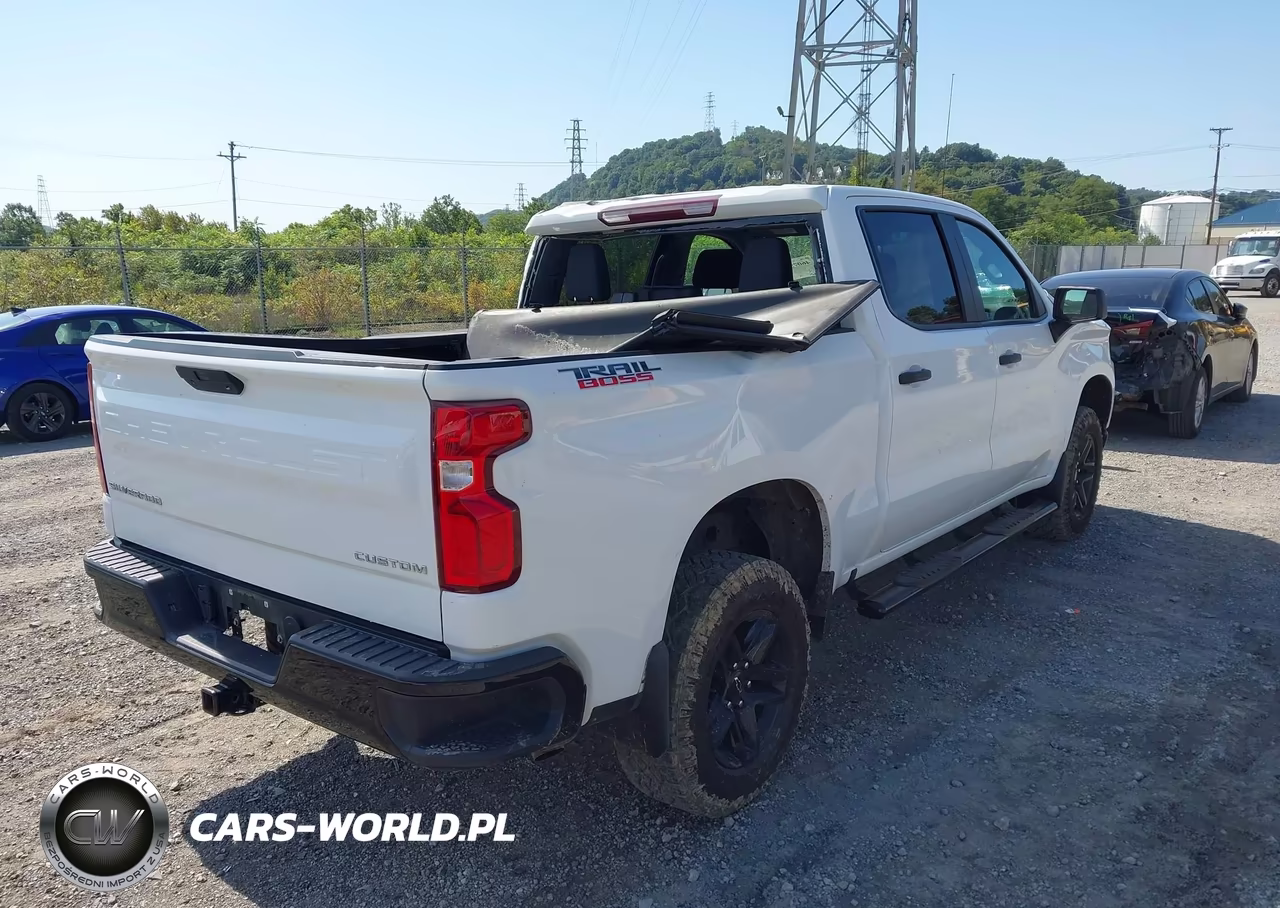 2022 Chevrolet Silverado 1500 Ltd 4Wd Short Bed Custom Trail Boss VIN:3GCPYCEK5NG125579 - 4