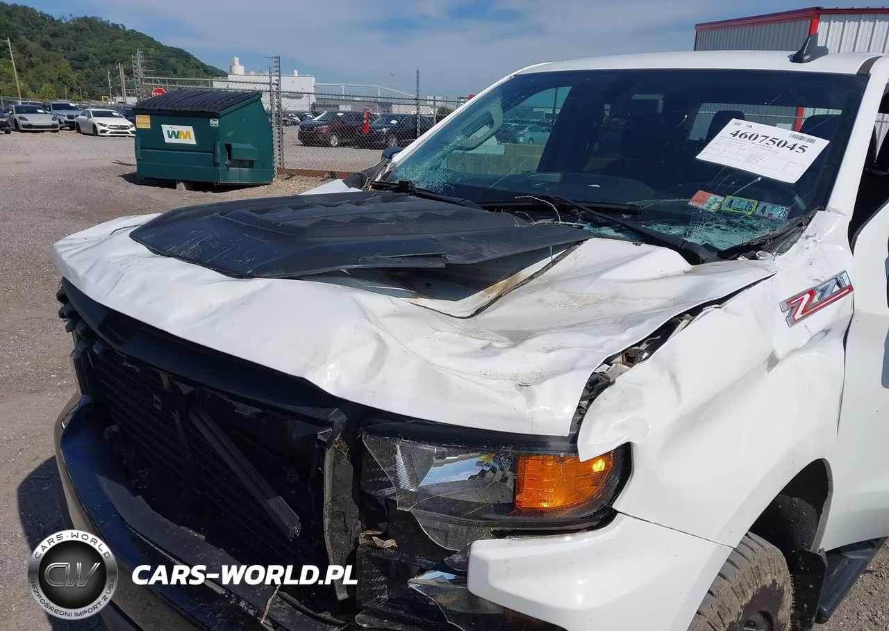 2022 Chevrolet Silverado 1500 Ltd 4Wd Short Bed Custom Trail Boss VIN:3GCPYCEK5NG125579 - 6
