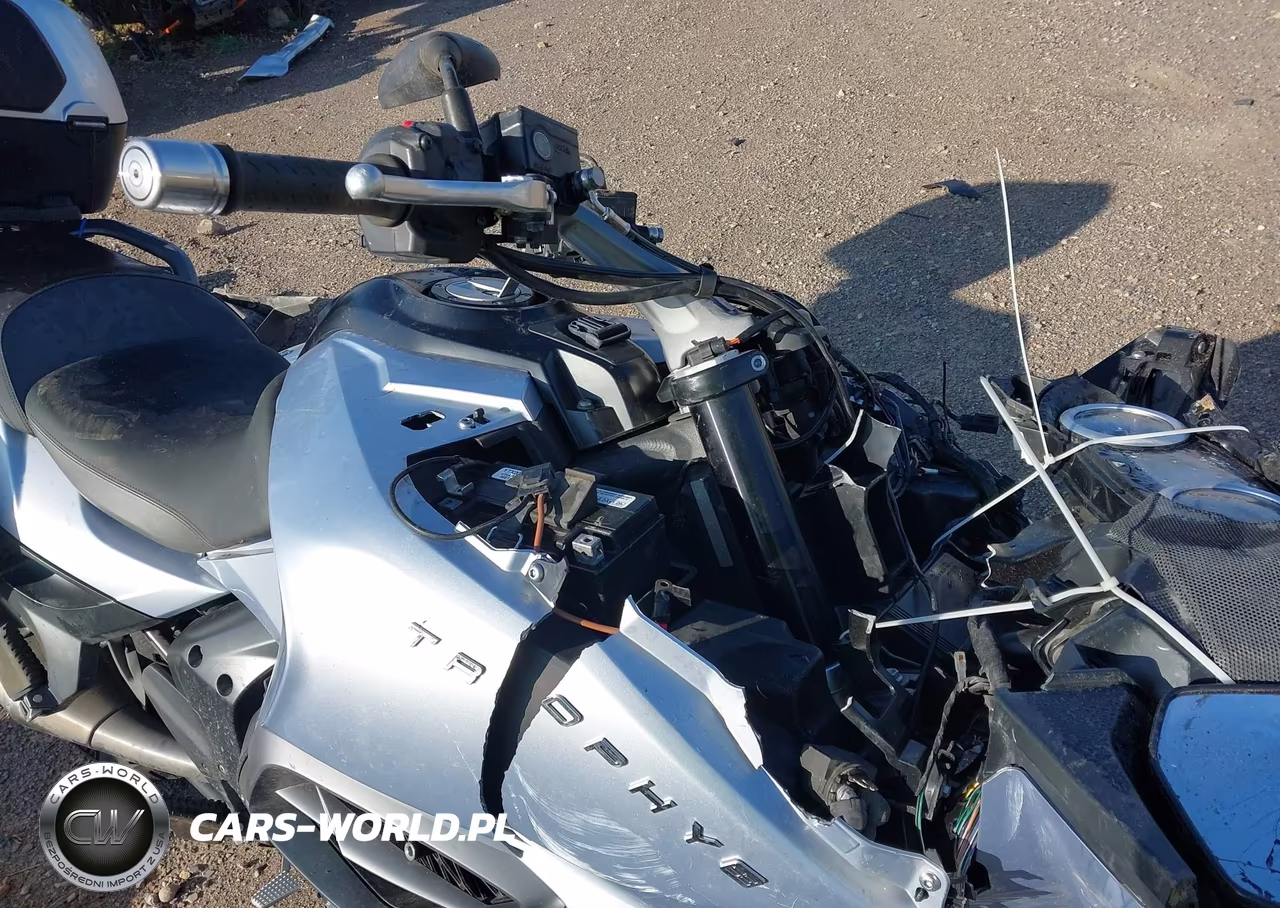 2013 Triumph Motorcycle Trophy Se VIN:SMTH02XK4DJ590940 - 18