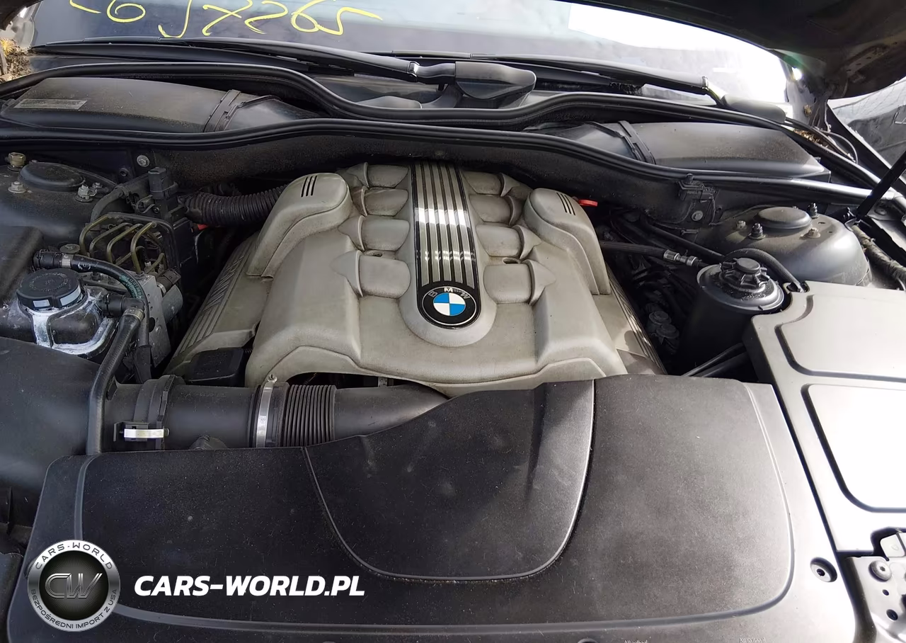 2003 BMW 745Li VIN:WBAGN63443DR08477 - 10