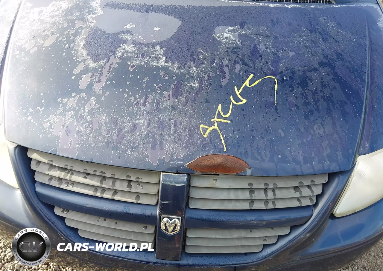2005 Dodge Grand Caravan Se VIN:1D4GP24RX5B245871 - 10