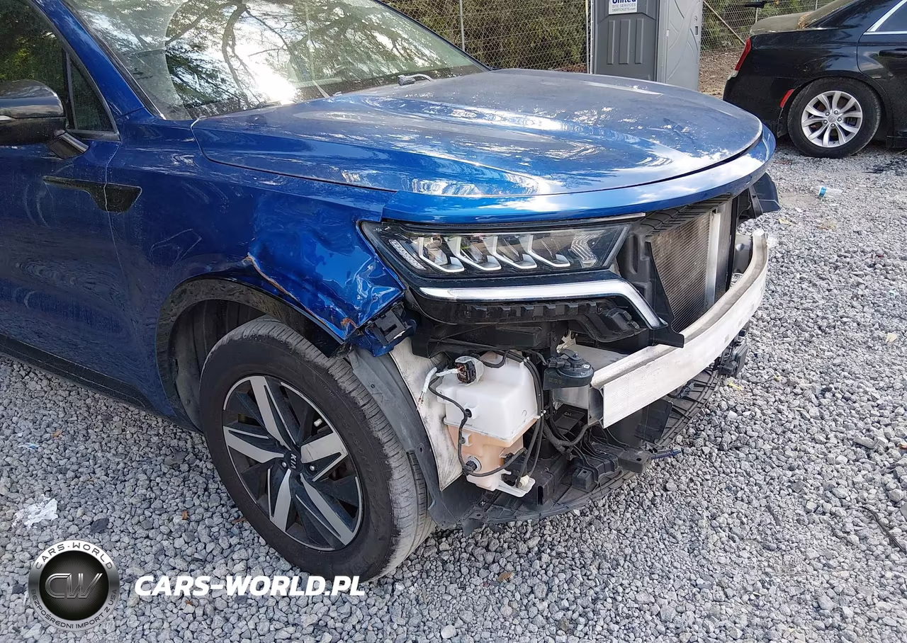 2021 Kia Sorento Ex VIN:5XYRH4LF4MG068793 - 19