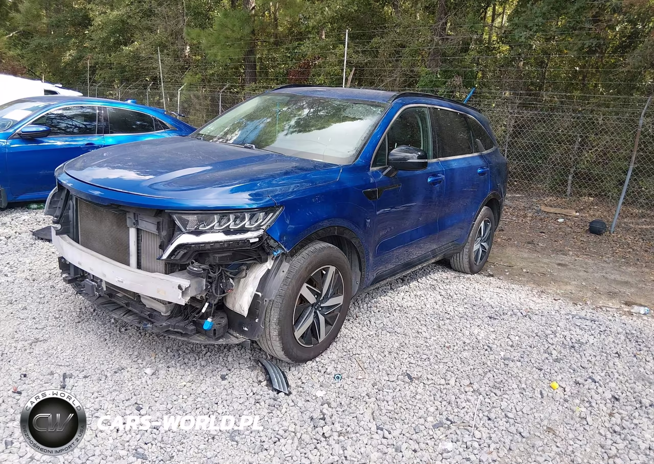 2021 Kia Sorento Ex VIN:5XYRH4LF4MG068793 - 2