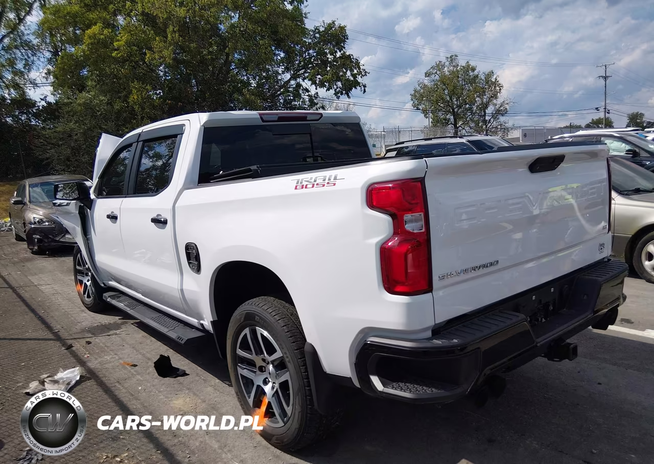 2020 Chevrolet Silverado 1500 4Wd Short Bed Lt Trail Boss VIN:3GCPYFED6LG131990 - 13
