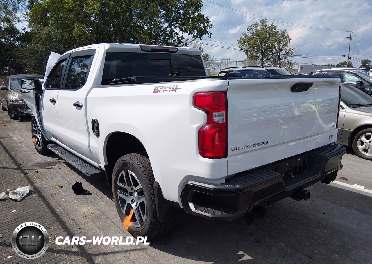 2020 Chevrolet Silverado 1500 4Wd Short Bed Lt Trail Boss VIN:3GCPYFED6LG131990 - 3