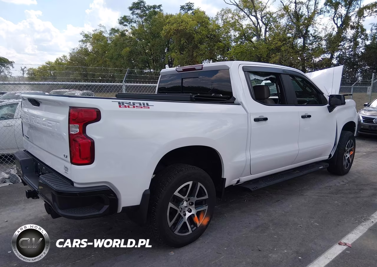 2020 Chevrolet Silverado 1500 4Wd Short Bed Lt Trail Boss VIN:3GCPYFED6LG131990 - 4