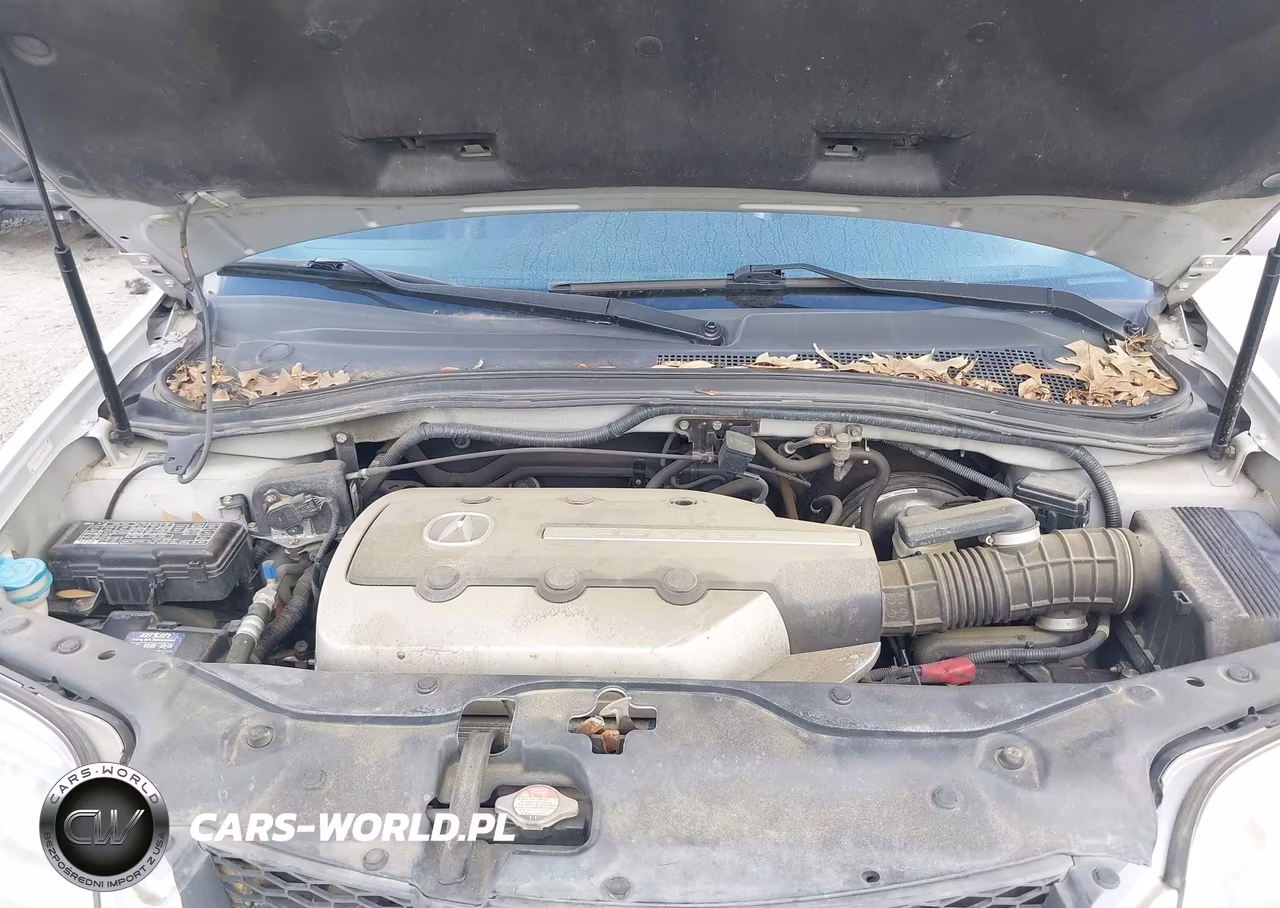 2004 Acura Mdx VIN:2HNYD18674H540091 - 10