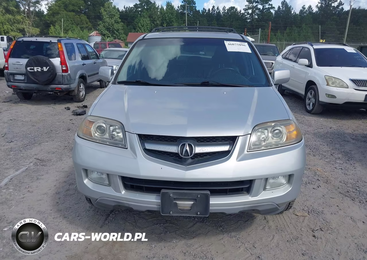 2004 Acura Mdx VIN:2HNYD18674H540091 - 6