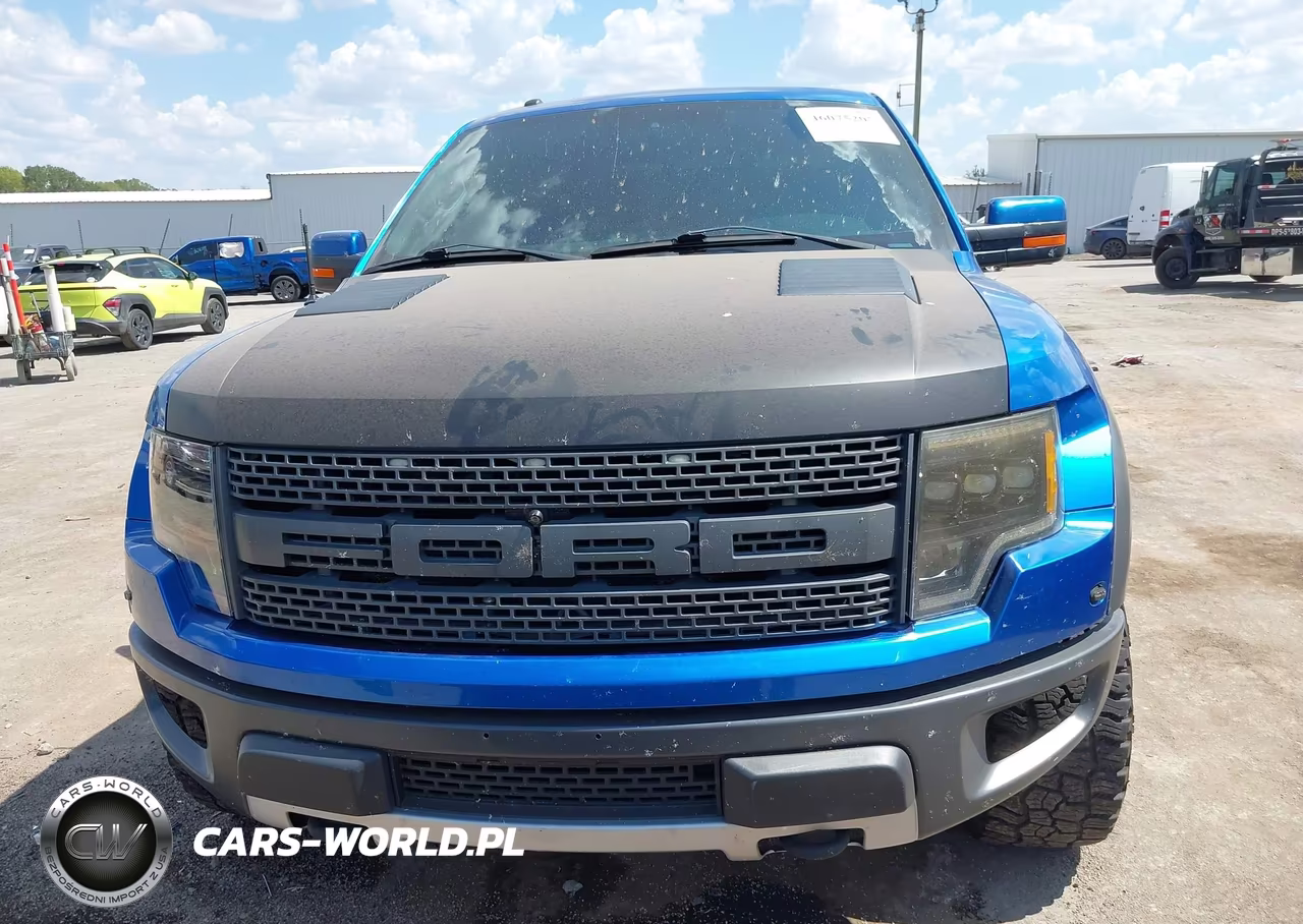2013 Ford F-150 Svt Raptor VIN:1FTFW1R66DFB06798 - 12