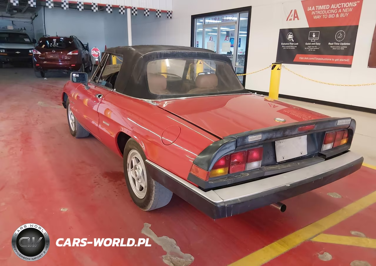 1986 Alfa Romeo Veloce 2000 Spider VIN:ZARBA5417G1037451 - 3