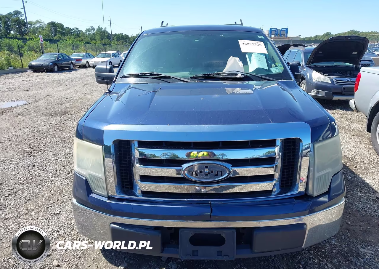 2009 Ford F-150 King Ranch-Lariat-Platinum-Xl-Xlt VIN:1FTPW12V59FA31184 - 12