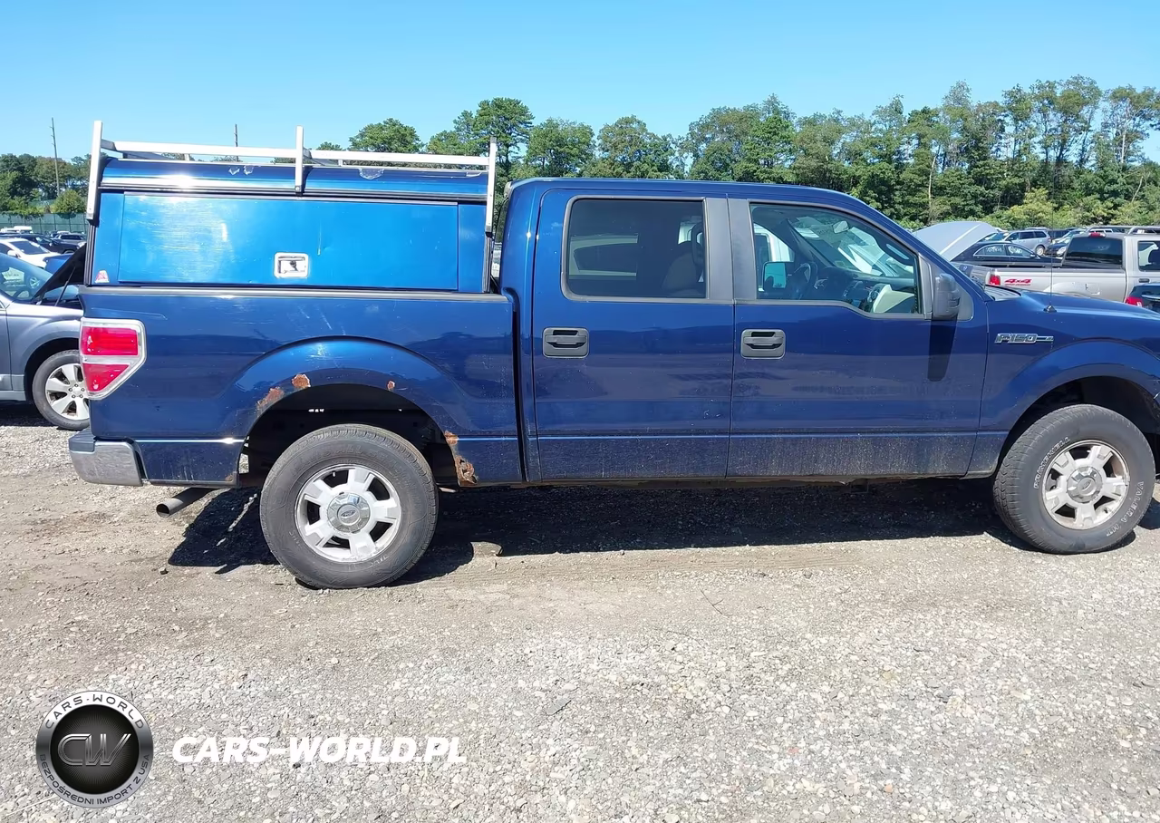2009 Ford F-150 King Ranch-Lariat-Platinum-Xl-Xlt VIN:1FTPW12V59FA31184 - 13