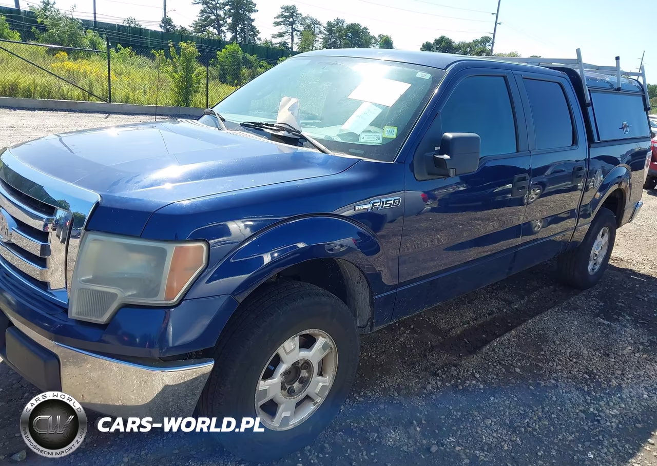 2009 Ford F-150 King Ranch-Lariat-Platinum-Xl-Xlt VIN:1FTPW12V59FA31184 - 2