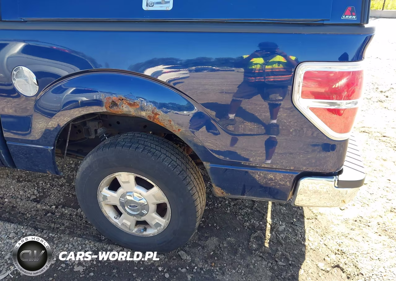 2009 Ford F-150 King Ranch-Lariat-Platinum-Xl-Xlt VIN:1FTPW12V59FA31184 - 6