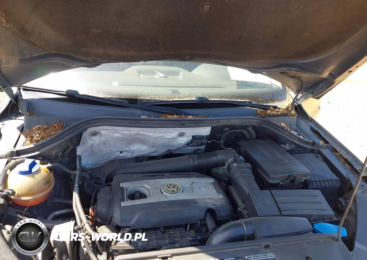 2009 Volkswagen Tiguan Sel VIN:WVGBV75N79W530978 - 10