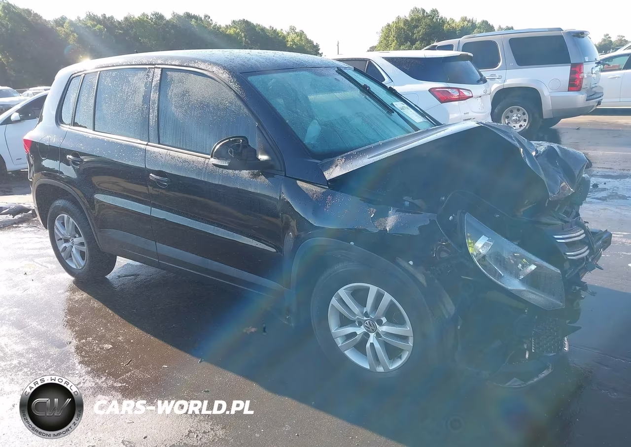 2013 Volkswagen Tiguan S VIN:WVGAV3AX9DW573917 - 1
