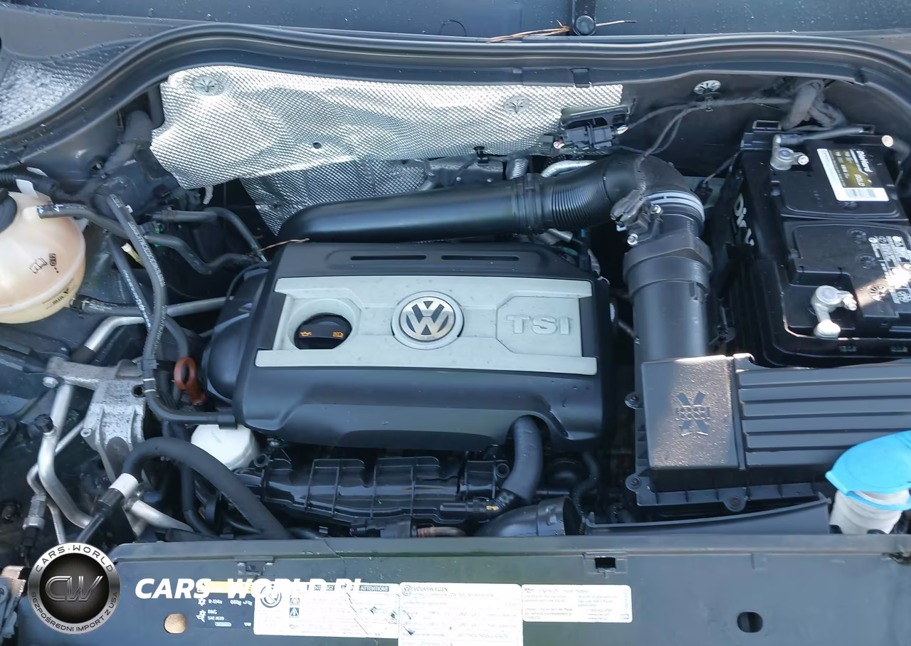 2013 Volkswagen Tiguan S VIN:WVGAV3AX9DW573917 - 10