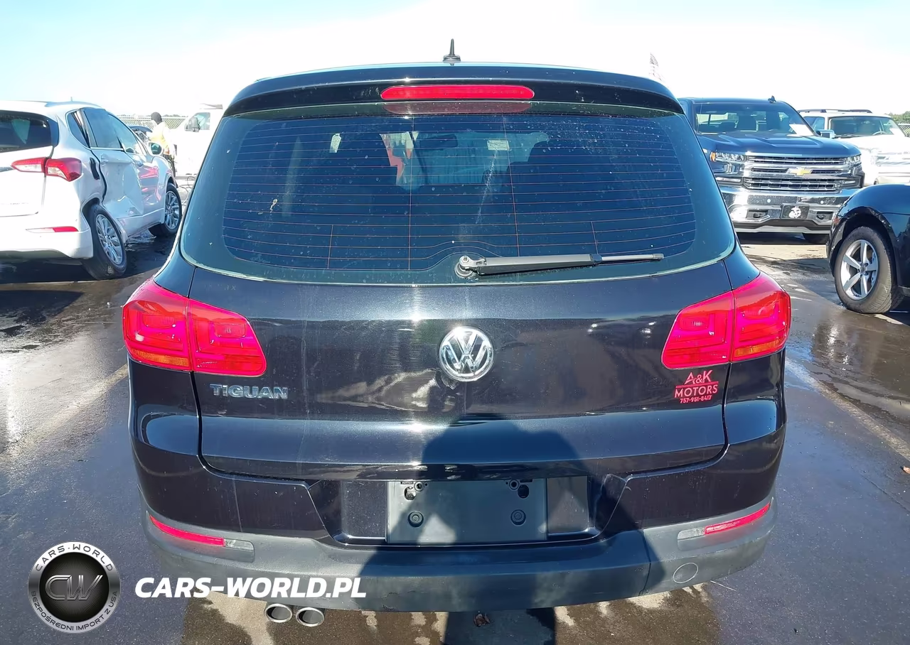 2013 Volkswagen Tiguan S VIN:WVGAV3AX9DW573917 - 16