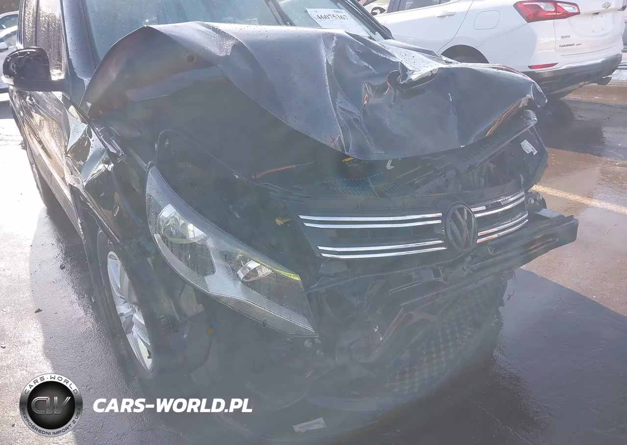 2013 Volkswagen Tiguan S VIN:WVGAV3AX9DW573917 - 17