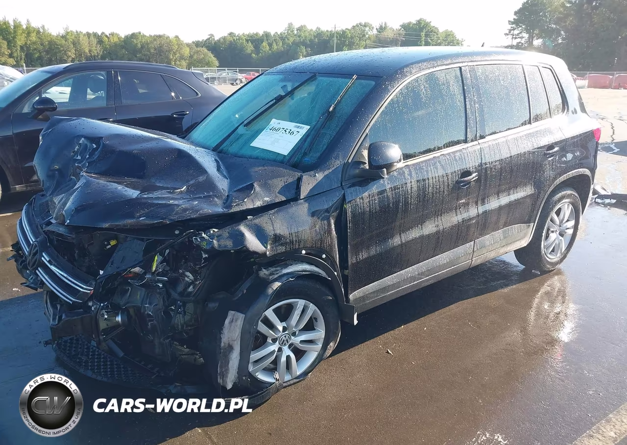 2013 Volkswagen Tiguan S VIN:WVGAV3AX9DW573917 - 2