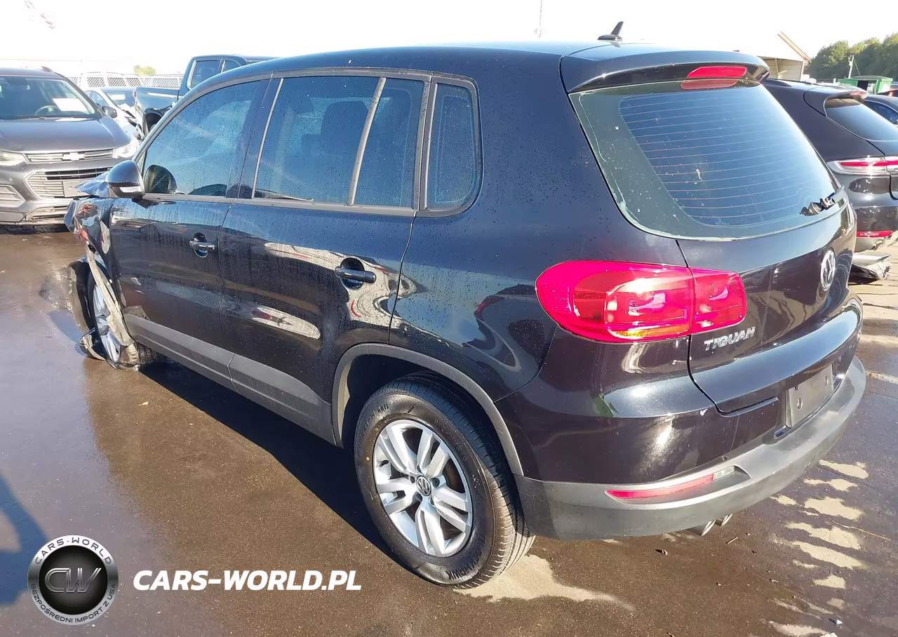 2013 Volkswagen Tiguan S VIN:WVGAV3AX9DW573917 - 3