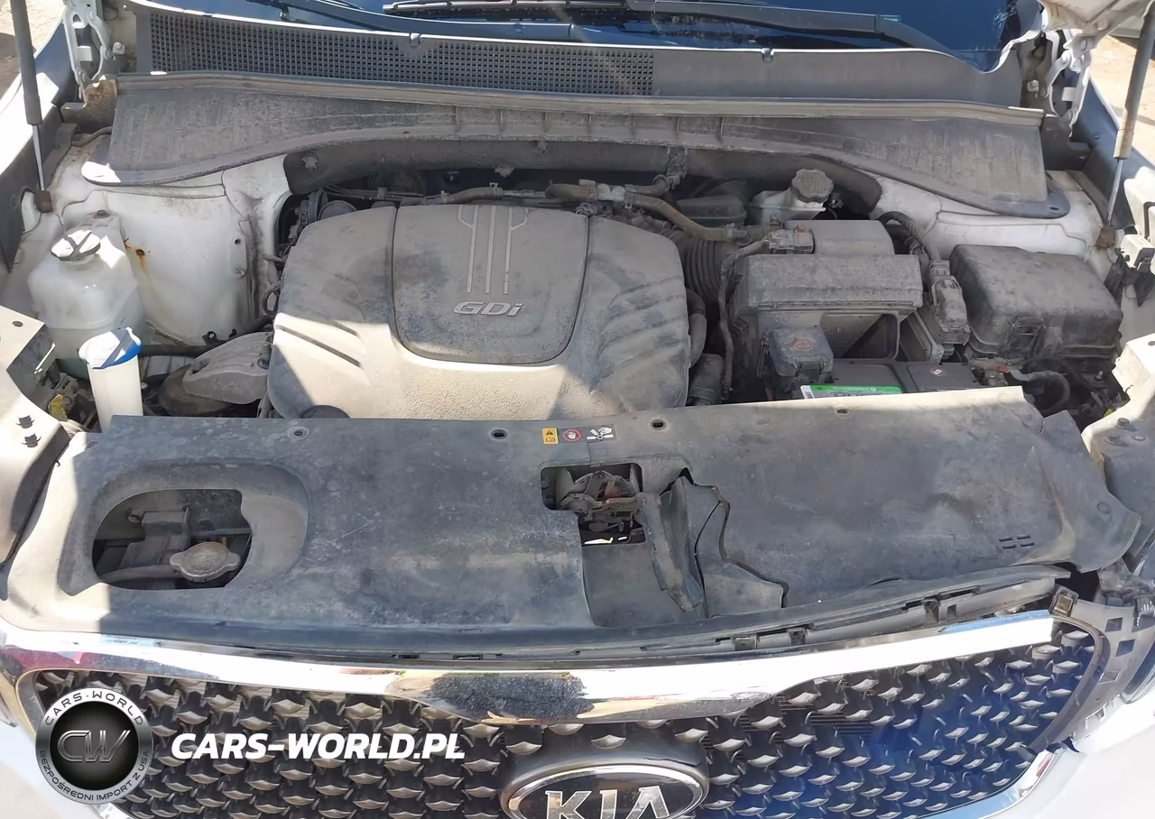 2016 Kia Sorento 3.3L Sxl VIN:5XYPKDA59GG006880 - 10