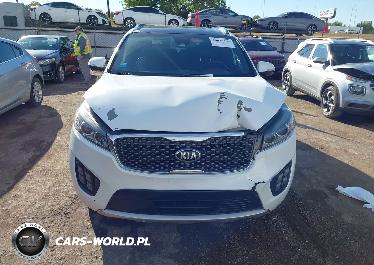 2016 Kia Sorento 3.3L Sxl VIN:5XYPKDA59GG006880 - 12