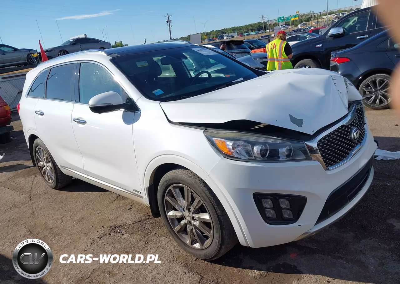 2016 Kia Sorento 3.3L Sxl VIN:5XYPKDA59GG006880 - 13