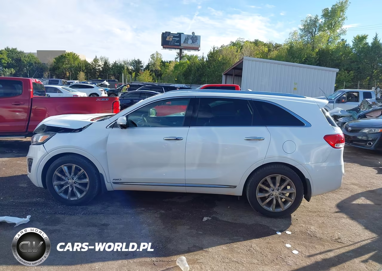 2016 Kia Sorento 3.3L Sxl VIN:5XYPKDA59GG006880 - 14