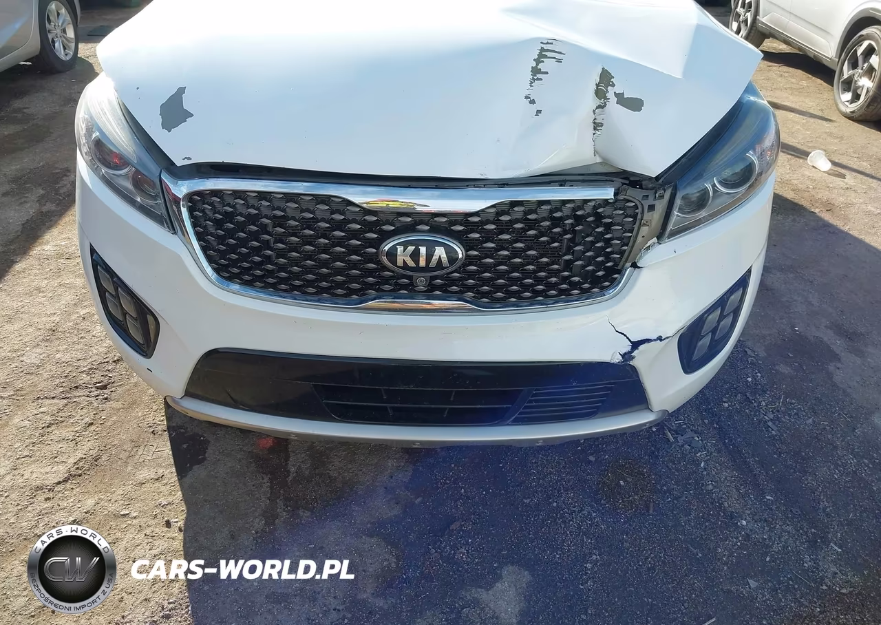 2016 Kia Sorento 3.3L Sxl VIN:5XYPKDA59GG006880 - 6