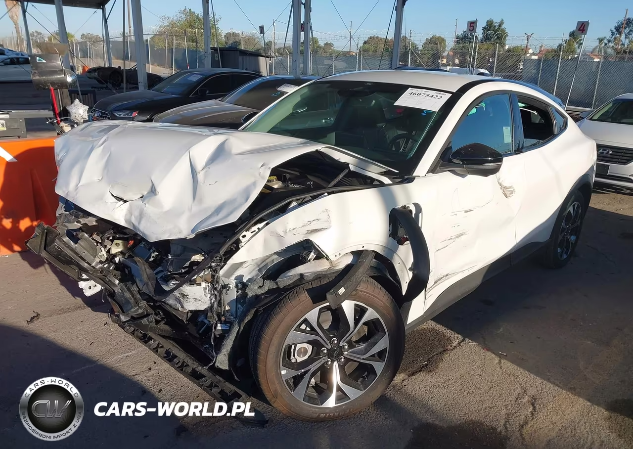 2025 Ford Mustang Mach-E Select VIN:3FMTK1R44SMA24624 - 2