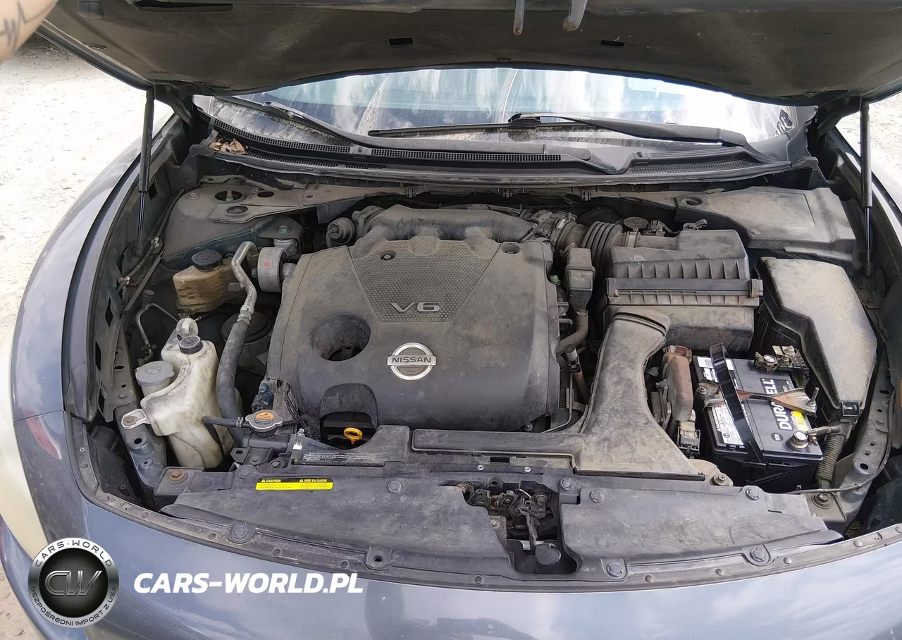 2009 Nissan Maxima 3.5 Sv VIN:1N4AA51E59C843041 - 10
