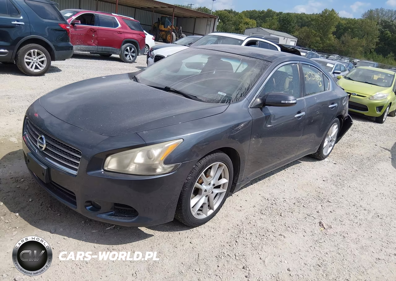 2009 Nissan Maxima 3.5 Sv VIN:1N4AA51E59C843041 - 2
