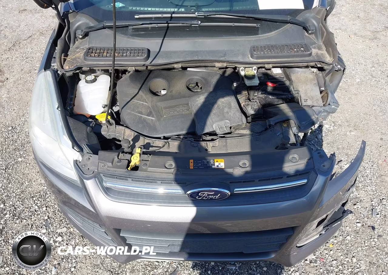 2013 Ford Escape Se VIN:1FMCU0G94DUC07829 - 10