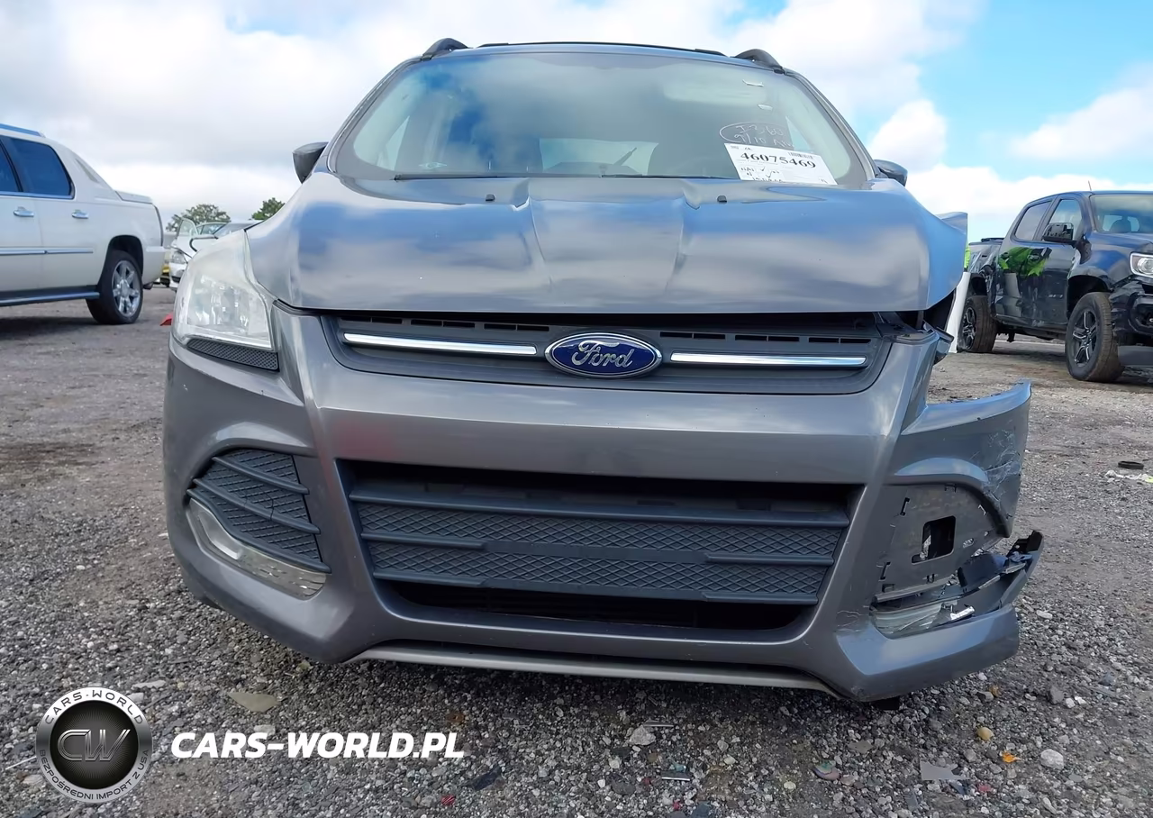2013 Ford Escape Se VIN:1FMCU0G94DUC07829 - 13