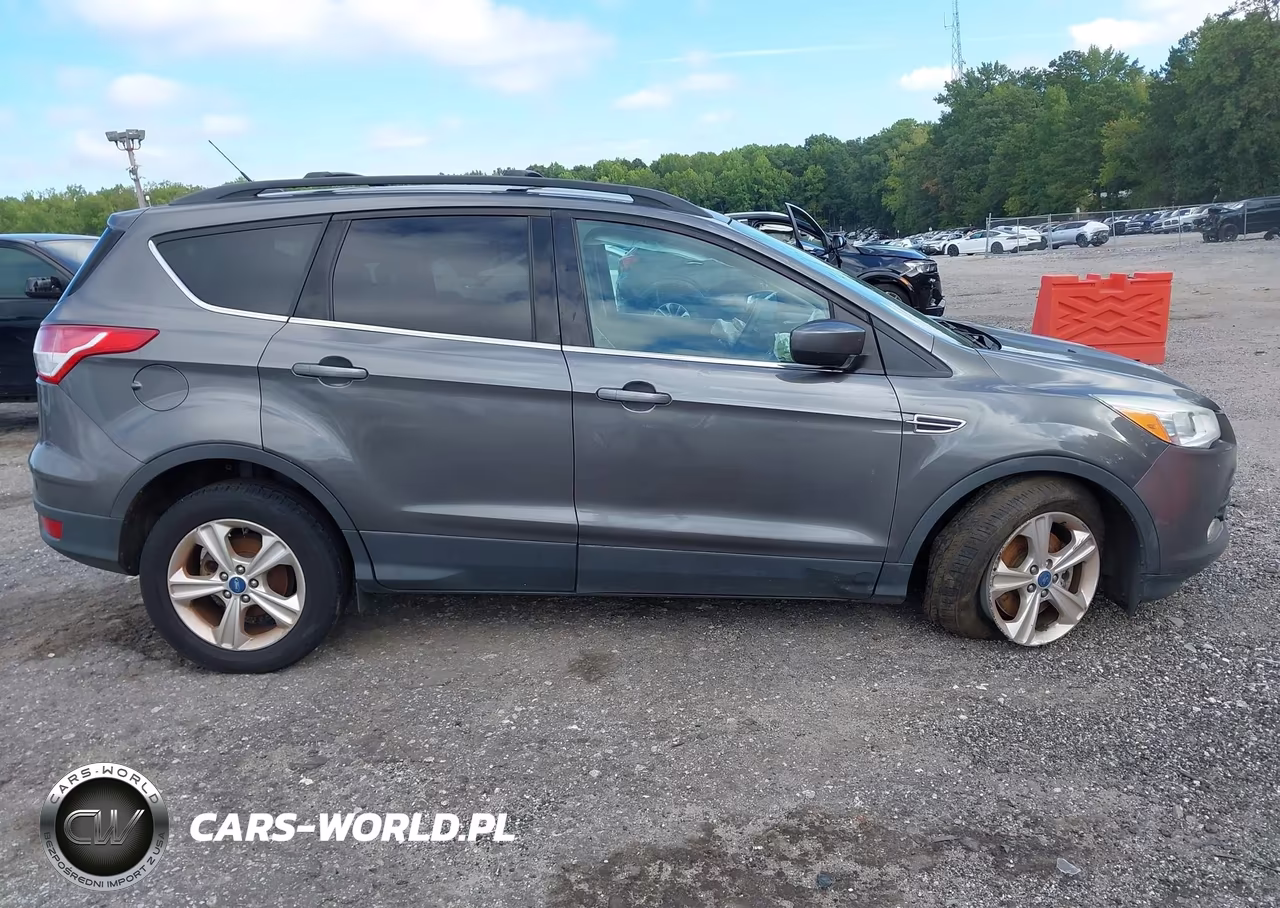 2013 Ford Escape Se VIN:1FMCU0G94DUC07829 - 14
