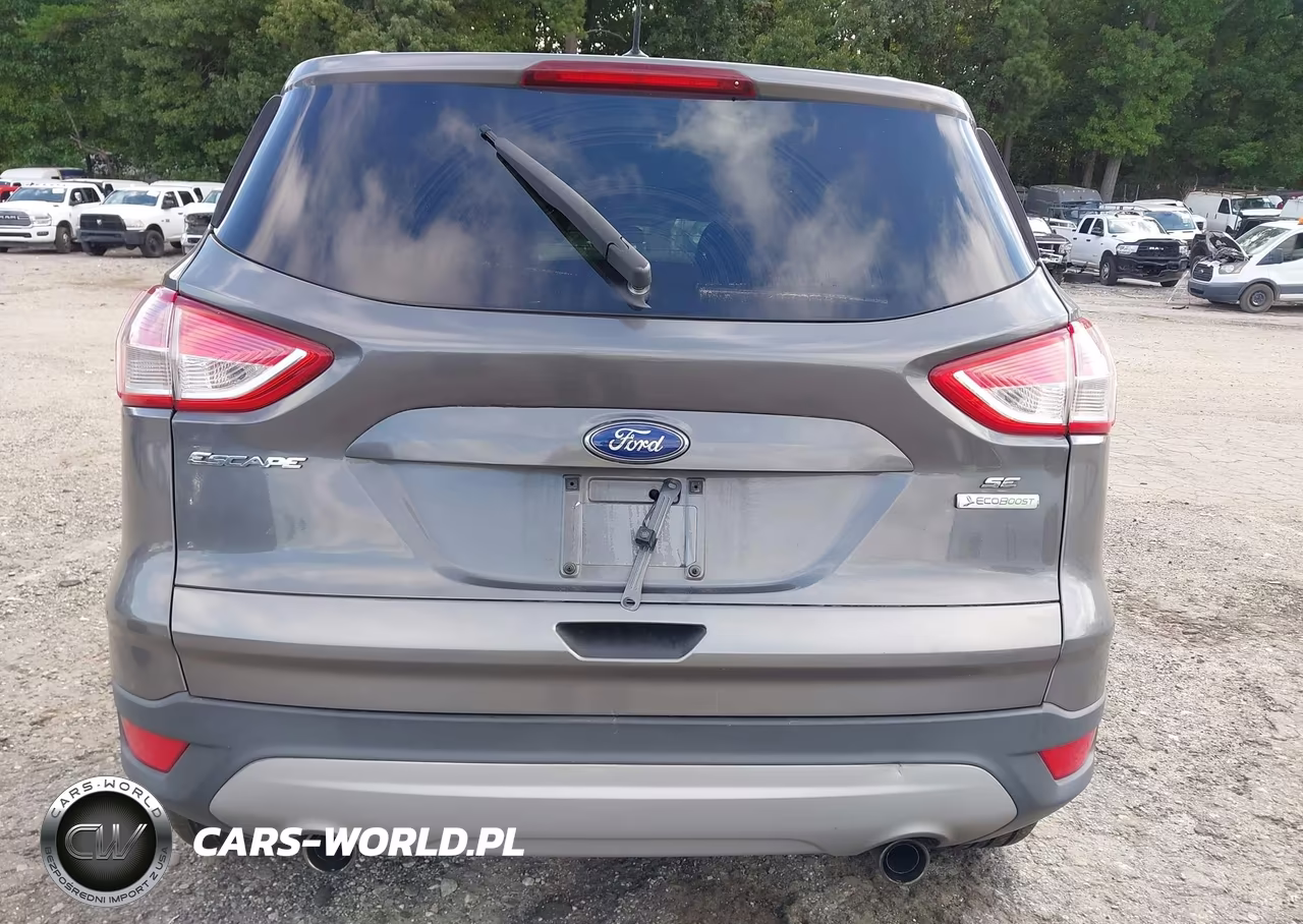 2013 Ford Escape Se VIN:1FMCU0G94DUC07829 - 17