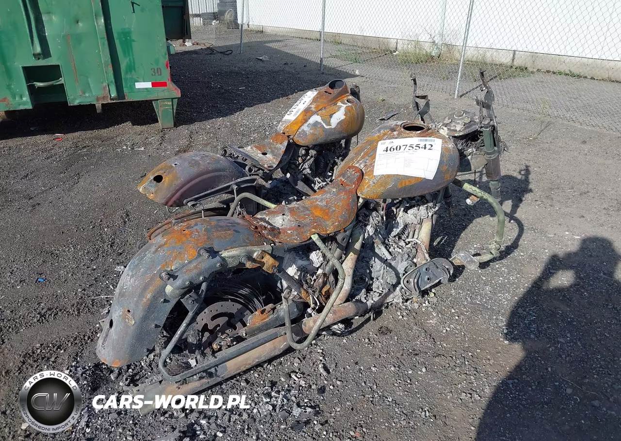 2010 Harley-Davidson Flhx VIN:1HD1GX419BC318291 - 4