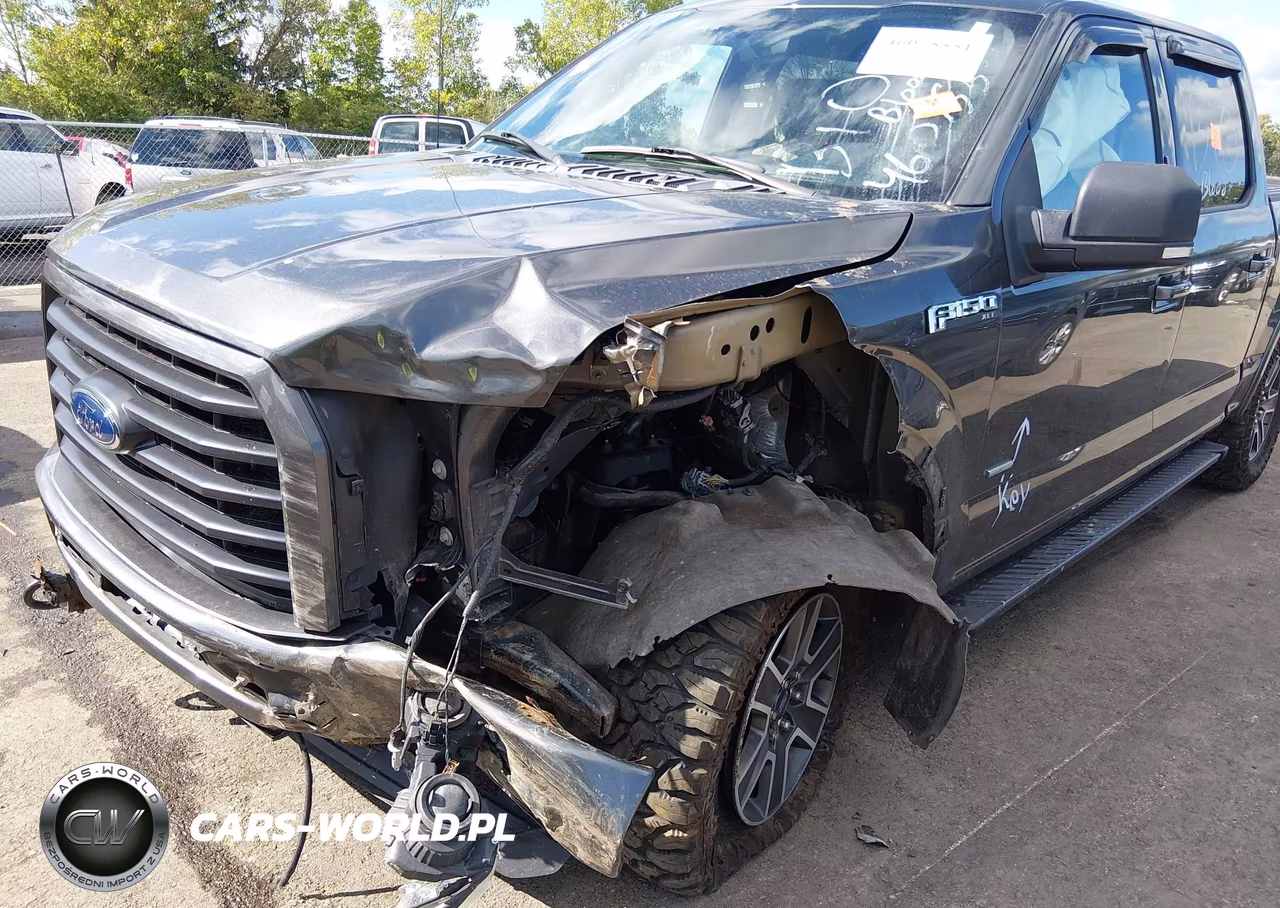 2015 Ford F-150 Xlt VIN:1FTEW1EG4FFD05510 - 6