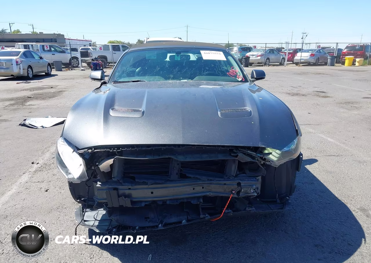 2018 Ford Mustang Ecoboost Premium VIN:1FATP8UHXJ5155107 - 13